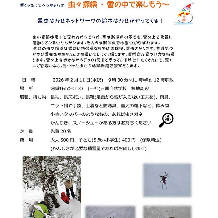 2026.2/11開催】阿賀野市・五頭自然学校「虫々探検・雪の中で楽しもう