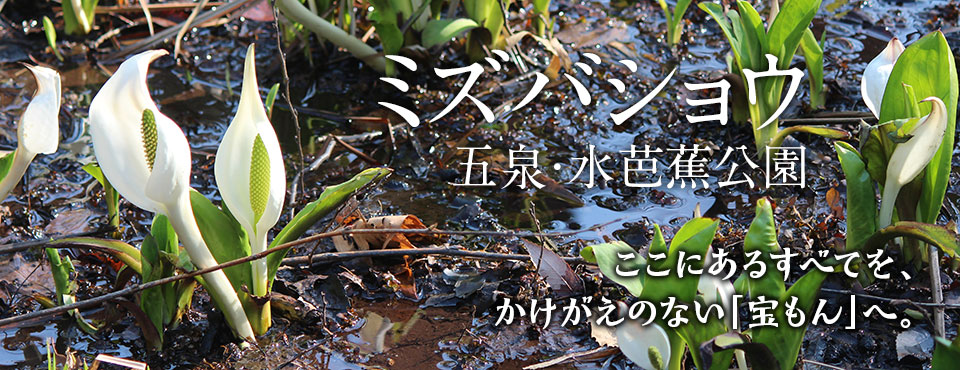 ec172f4c310a4387e65bc24f1038b8ca